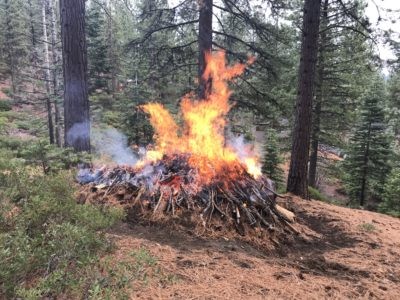Pile Burning North Lake Tahoe